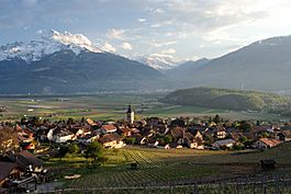 Ollon village with vineyards in the foreground and the Dents du Midi in background