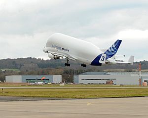 Airbus A300 Beluga Takes Off Carrying Wings of FSTA MOD 45149920