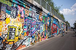 Graffiti along the Bloomingdale trail, Chicago 2015-57