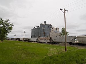 The town's grain elevator, with a DMVW train parked at the terminal in the foreground