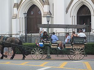 Historic carriage tour, Savannah, GA IMG 4726