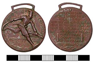Modern, Military medal (FindID 383905)
