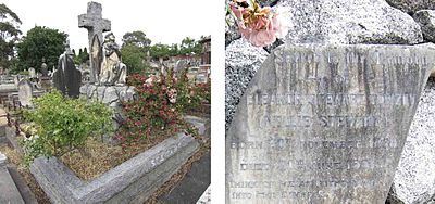 Nellie Stewart-family grave and memorial-2014-12