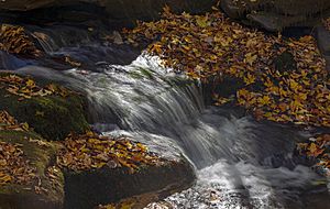 Rushing water in West Kill below Diamond Notch Falls, Spruceton, NY