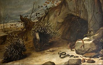 Snyders, Frans - Porcupines and vipers - Google Art Project