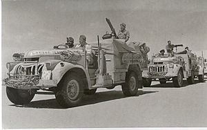 Vickers armed LRDG trucks8