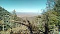 View from Pinal Mountains.