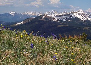 Alpine tundra Copper Mountain Colorado