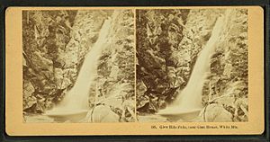 Glen Ellis Falls, near Glen House, White Mts, by Kilburn Brothers