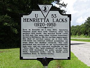 Henrietta Lacks historical marker; Clover, VA; 2013-07-14