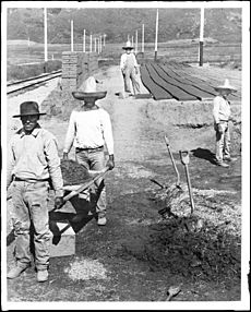 Mexican Americans workmen pausing for the camera as they make adobe bricks at the Casa Verdugo, ca.1900-1920 (CHS-5196)