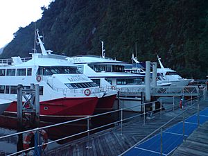 Milford Sound Tour Boats