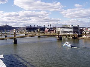 Pittsburgh Ninth Street Bridge.jpg