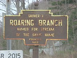 Official logo of Roaring Branch, Pennsylvania