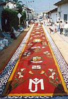 Saw dust carpet Comayagua Honduras (4)