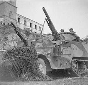 The British Army in Italy 1944 NA14653