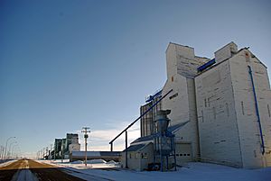 Last surviving elevator row in Alberta, located in Warner
