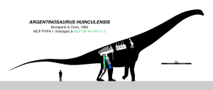 Argentinosaurus 9