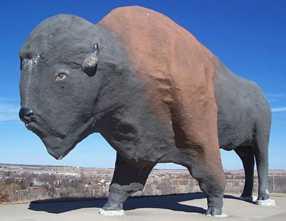 Buffalo statue jamestown north dakota.jpg