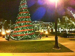 Christmas Tree-Southlake Town Square