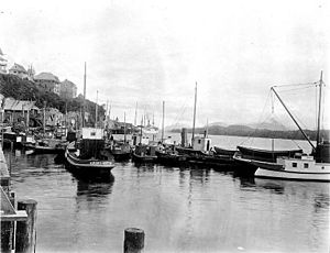 Fishing fleet, Ketchikan, Alaska, June 29, 1911 (COBB 20)