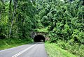 Little Switzerland Tunnel @ Blue Ridge Parkway