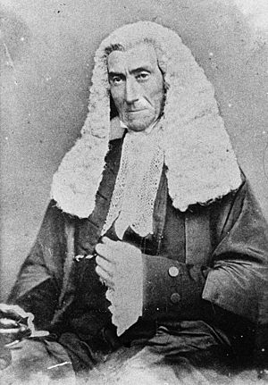 Portrait of Judge John Hubert Plunkett in robes and wig (7370284568) (cropped).jpg