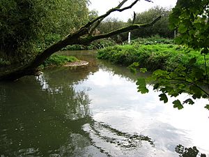River Eye, Coston Leicestershire - geograph.org.uk - 68911