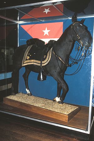 SHERIDAN'S HORSE RIENZI, NATIONAL MUSEUM OF AMERICAN HISTORY, WASHINGTON D.C.