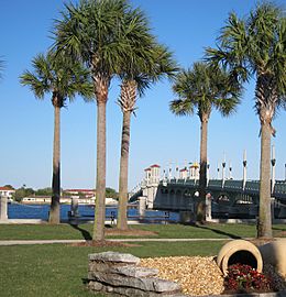 Saint Augustine,Florida,USA. - panoramio (16)