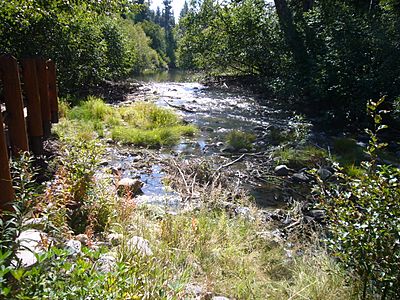 Taylor Creek with beaver dam mostly removed AFTER 2012-09-28