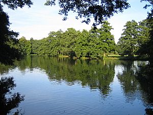 The Lake in Boultham Park - geograph.org.uk - 52578