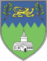 Wicklow county arms