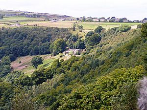 Avron Foundation, Colden Valley - geograph.org.uk - 1188593