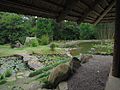 Lankester Japanese Garden