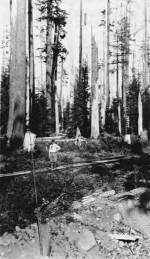 Mr Donovan standing on railtracks, unidentified Bloedel-Donovan lumber operation, August 27, 1924 (INDOCC 1166)