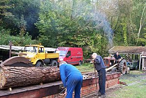 Sawing Logs- Amberley Working Museum - geograph.org.uk - 722065