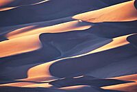 Sunset shadows on sand dunes