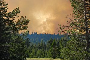5.18pm, view Angora Ridge Forest Fire from Highway 89, South Lake Tahoe