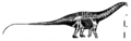 Apatosaurus louisae skeletal by Bricksmashtv