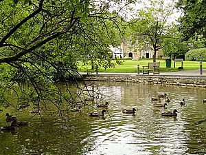 Bryngarw Country Park, Lake & ducks