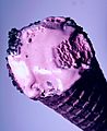 Colorful Black Raspberry Ice Cream Cone (2420648653)