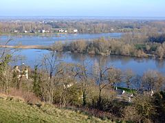 Confluent Vienne-Loire