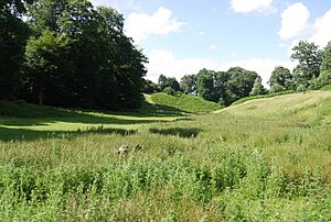 Dry Valley, Knole Park - geograph.org.uk - 857604.jpg