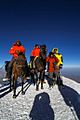 Elbrus horses 4 Sep 2020