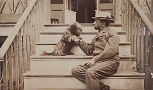 Henry Adams seated with dog on steps of piazza, photograph by Marian Hooper Adams, ca. 1883