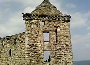 Room With A View - geograph.org.uk - 428699.jpg