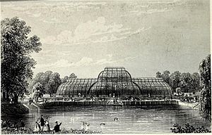 Tallis's Illustrated London vol. 2 - Kew Gardens Palm House