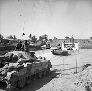 The British Army in Tunisia 1943 NA1638