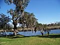 View of Bayou Liberty from Cousin House